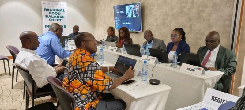 Eastern Africa Grain Council Attends the COMESA Regional Food Balance Sheet (RFBS) Committee meeting in Lusaka Zambia
