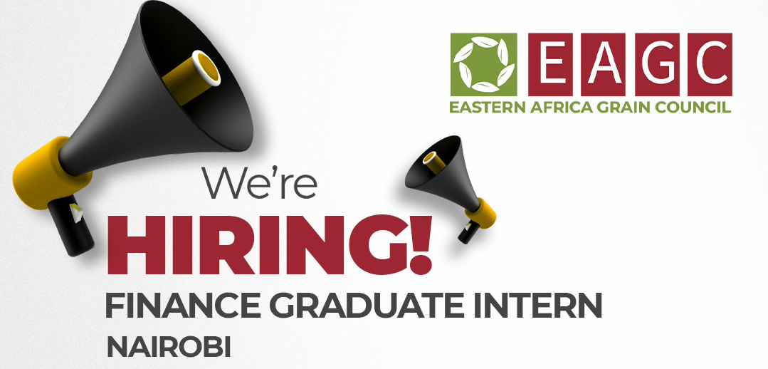 FINANCE GRADUATE INTERN (NAIROBI)